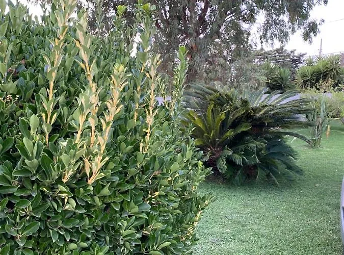 アパート Coco' *